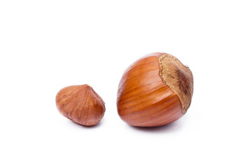  Group healty hazelnuts isolated on white background