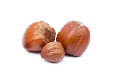  Group healty hazelnuts isolated on white background
