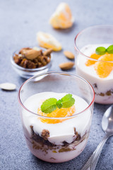 Yogurt granola citrus dessert on concrete background. Selective focus, cpace for text. 