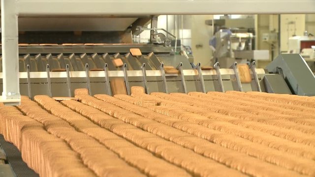 Cookies on conveyor at food plant. Food industry. Pastry bakery on manufacturing line at food factory. Cookies conveyor