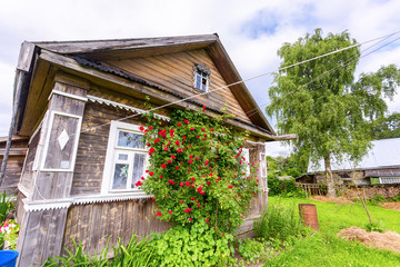 Old rural wooden house in russian village in summer sunny day. Novgorod region, Russia