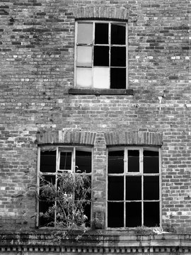 broken windows in an abandoned derelict brick building with weeds growing through the walls