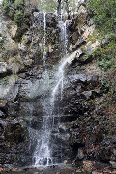 Kaledonia waterfall in the forest