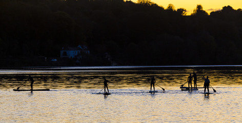 Paddle Boarding.