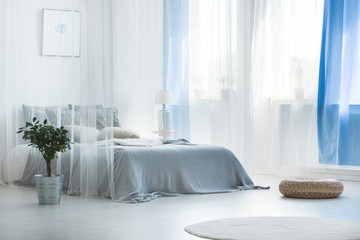 Decorative canopy in calm bedroom