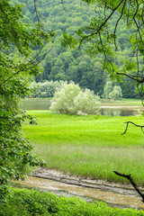 View of the lake through the forest. Lake enviornment