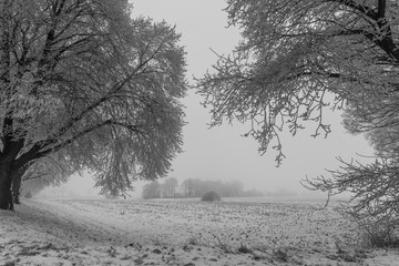Winter landscape on a gray and cloudy day, bad weather