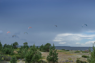 A kite surfer rides on the sea. Kites in the sky. Kite Boarding, extreme sport on Mohni, small island in Estonia, Europe.