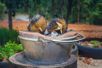 barbecue durian on stove.