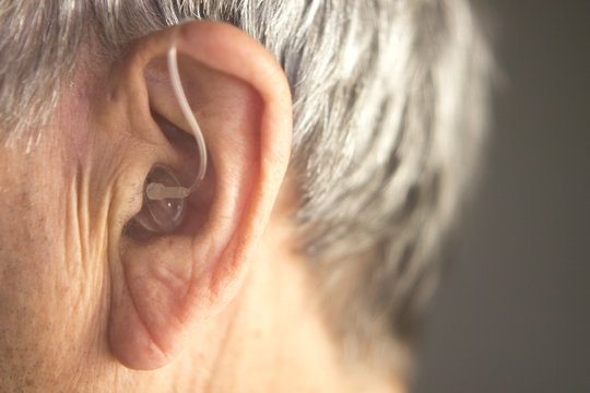Digital hearing aid ear