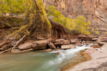 Virgin River Zion National Park in Fall