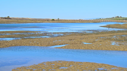Ria Formosa Natural Park, Algarve, Portugal
