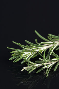 Rosemary branches isolated on the black background table with reflections