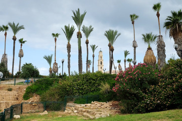 Park in the old town of Jaffa