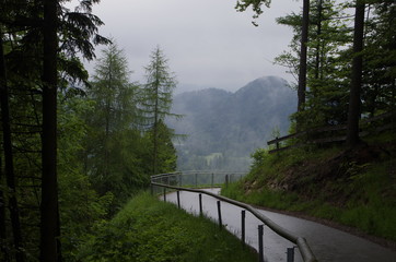 Neuschwanstein Castle ノイシュバンシュタイン城