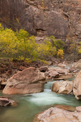 Virgin River Flowing in Zion National Park in Fall