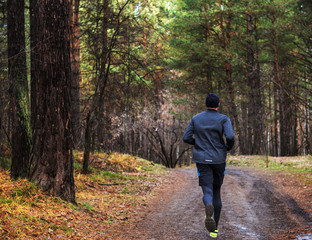 Fototapeta premium The man running in the forest. The Athletic man running on a forest trail. The man running on a trail in autumn forest yellow-green trees.