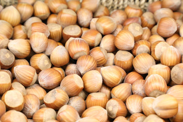 Fresh hazelnuts at the market