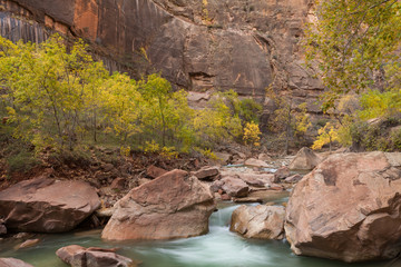 Virgin River Flowing in Zion National Park in Fall