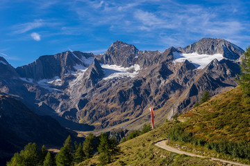 Mountains, peaks and trees landscape, natural environment. Timmelsjoch High Alpine Road. Passo del Rombo, the highest pass of the Eastern Alps. Ötztal valley, Tyrol, Austria, Europe