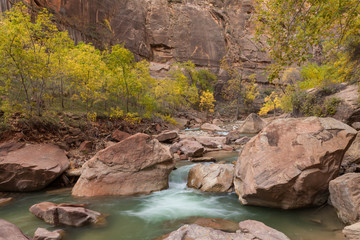 Virgin River Flowing in Zion National Park in Fall