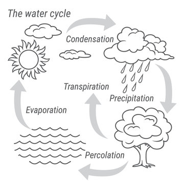 Water Cycle Black and white. Vector schematic representation of the water cycle in nature. Illustration of diagram water cycle. Cycle water in nature environment.
