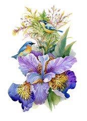 Summer watercolor flowers and birds on white background.