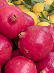 Close up of fruit on a market stall. Pomegranates in the top floor, right behind lemons and mandarins.