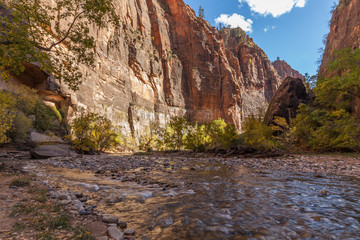 Virgin River Zion National Park Utah in Fall