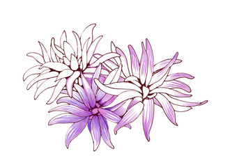 Hand drawn painting with colorful flowers on white background.