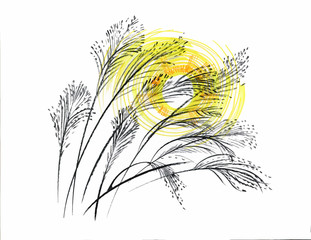 Naklejki  Ręcznie rysowane malarstwo z roślin polnych na białym tle.