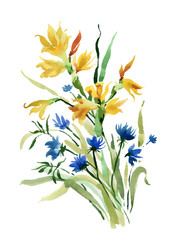 Hand drawn field flowers isolated on white background