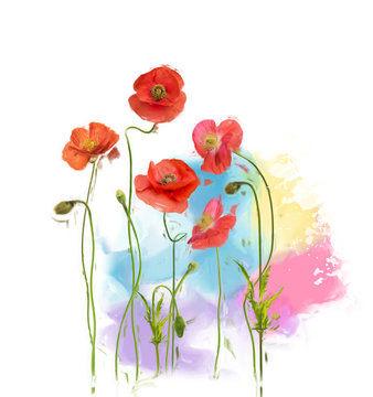Poppy Flowers painting