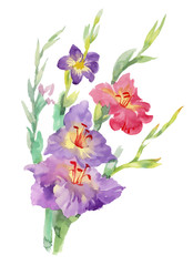 Flowers watercolor illustration. Spring and Summer.