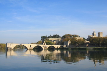 Obraz premium Avignon, cité des papes dans le Vaucluse, France 