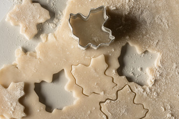 Cookie Dough Cutouts