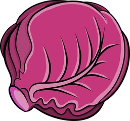 Red Cabbage