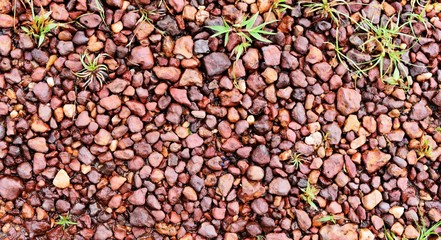 little red stone and little green grass