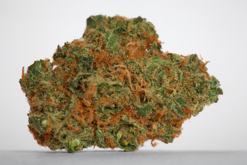 Close up of prescription medical marijuana flower Strawberry Cough sativa strain on white background