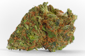 Close up of prescription medical marijuana flower Strawberry Cough sativa strain on white background