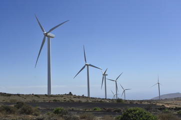 Windkraftanlage Parque Eolico auf Lanzarote