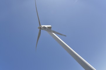 Windkraftanlage Parque Eolico auf Lanzarote