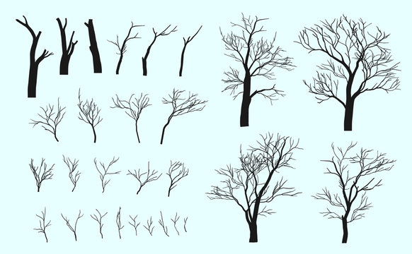 Set of branches and tree.