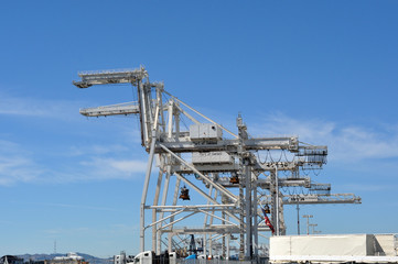 Shipping Cargo Container Cranes
