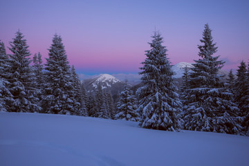 Purple night in the winter mountains