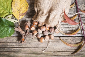 top view of hazelnuts in bag standing on wooden background