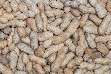 Erdnüsse Makro Detail Hintergrund