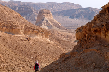 Fototapeta premium Scenic panorama landscape of Crater Ramon in Negev desert.