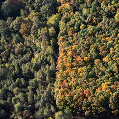 Vue aérienne de la forêt de Rambouillet dans les Yvelines à l'ouest de Paris