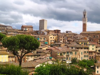 Vue sur la vieille ville médiévale de Sienne en Toscane (Italie)